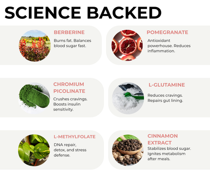 Calcie GLP-1 Patches